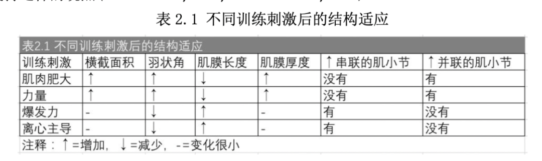 举重爆发力训练方法_举重是爆发力运动吗_举重训练技巧提高力量与爆发力